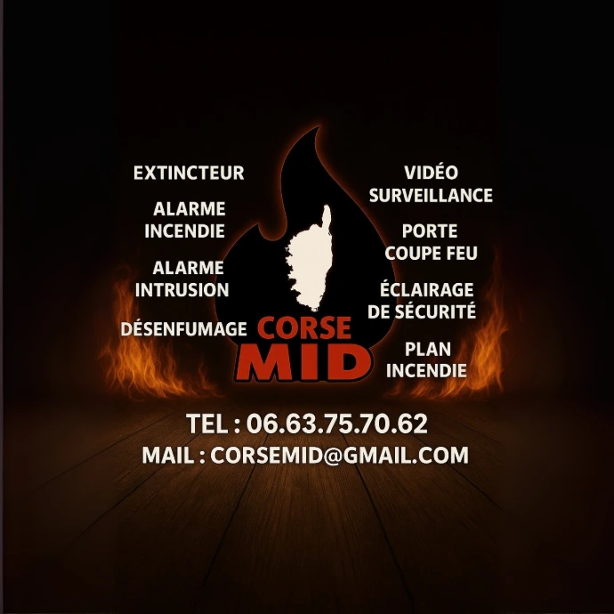 nos services en sécurité incendie et intrusion